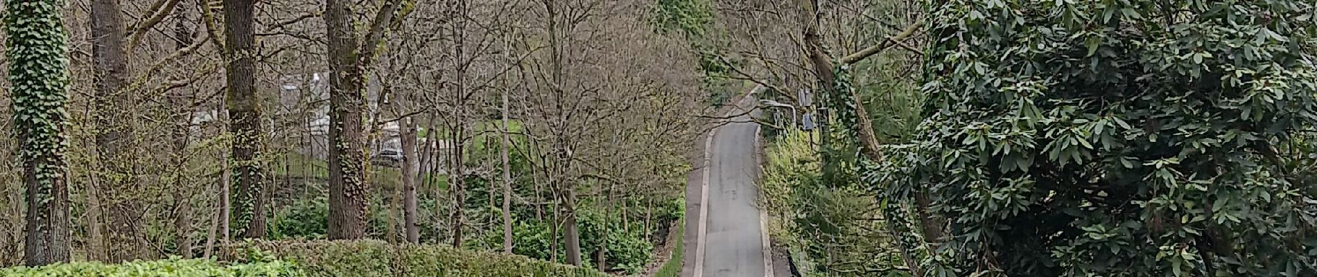 Randonnée Marche Esneux - autour du Cortil et des Sept Collines  - Photo