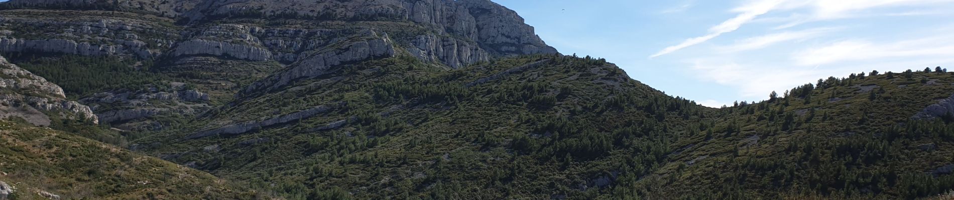 Tour Wandern Marseille - Vallon Ricard (Petite boucle) - Photo