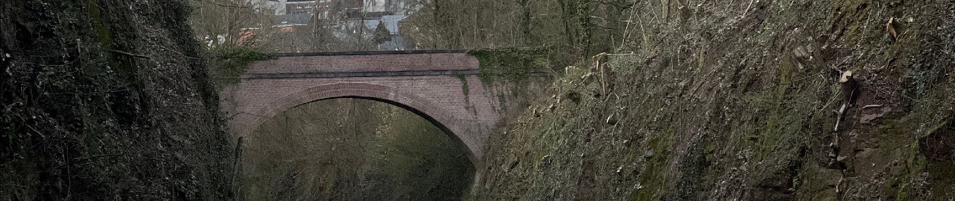 Tocht Stappen Thuin - Thuin -Abbaye d’Aulne et retour par la Biesmelle - Photo