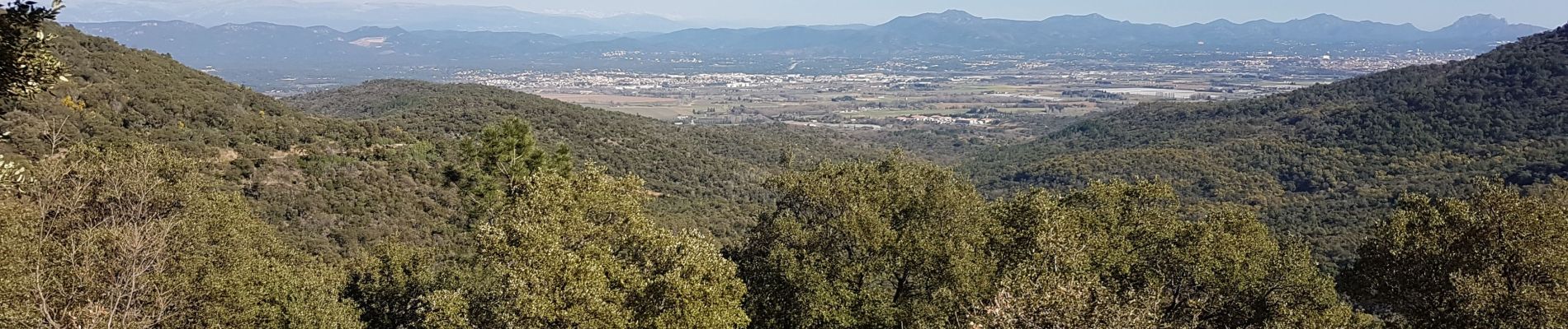 Percorso Marcia Roquebrune-sur-Argens - ROQUEBRUNE SUR ARGENS - A L'OUEST DE LA FLUTE - Photo