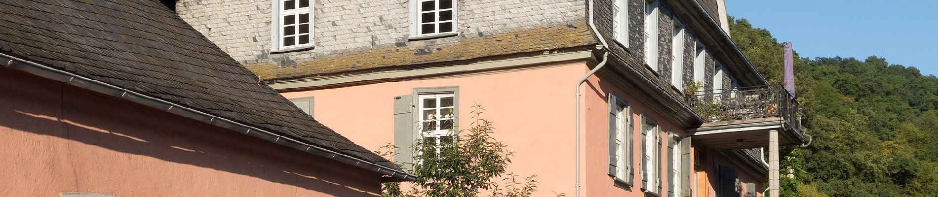 Tocht Te voet Langenscheid - Grün - Photo