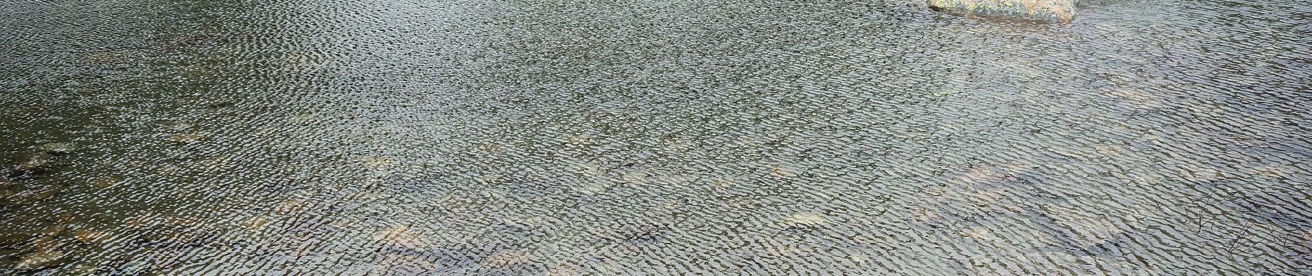 Percorso A piedi Rascafría - [RV 8] Laguna de los Pájaros - Photo