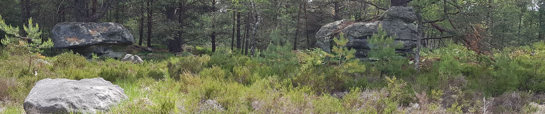 Trail Walking Arbonne-la-Forêt - sainte vierge monument 26 mai 19 - Photo