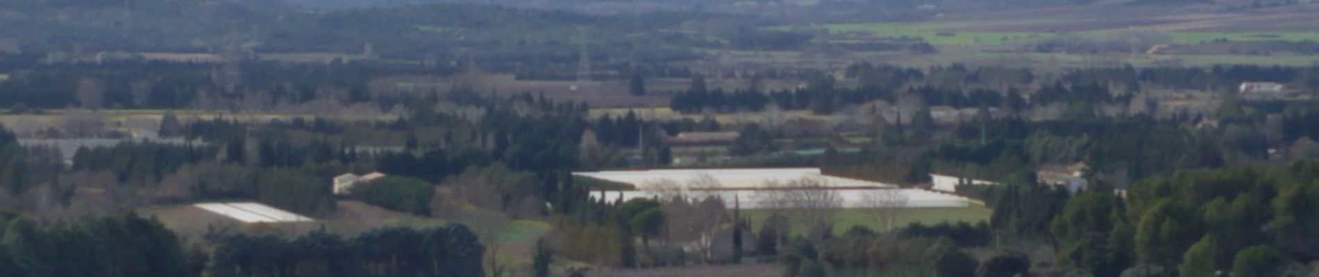 Randonnée Marche Sénas - la pecoule. et cabre - Photo