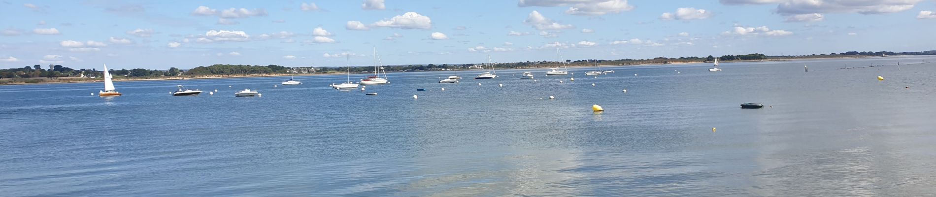 Excursión Senderismo Île-d'Arz - Tour de l'île d'Ars - Photo