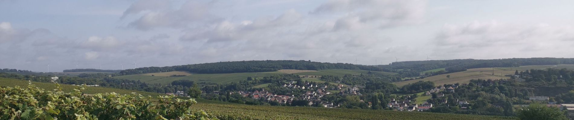 Tocht Stappen Saâcy-sur-Marne - 20240910 rando  - Photo