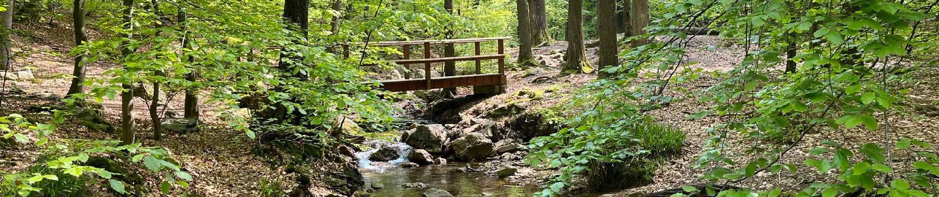 Tour Zu Fuß Spa - Balade depuis Barisart  - Photo