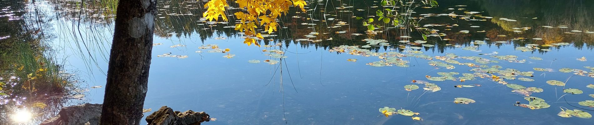 Tocht Stappen Le Frasnois - Les 4 lacs - Photo