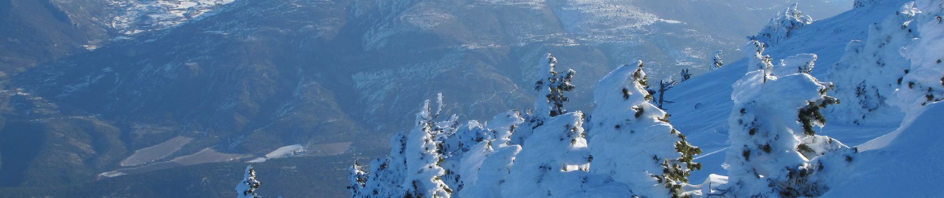 Percorso Sci alpinismo Beaumont-du-Ventoux - mont ventoux à Ski - Photo