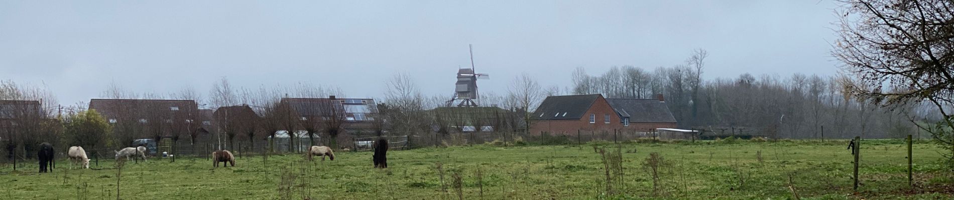 Tocht Stappen Doornik - Thimougies moulin 7,7 km - Photo