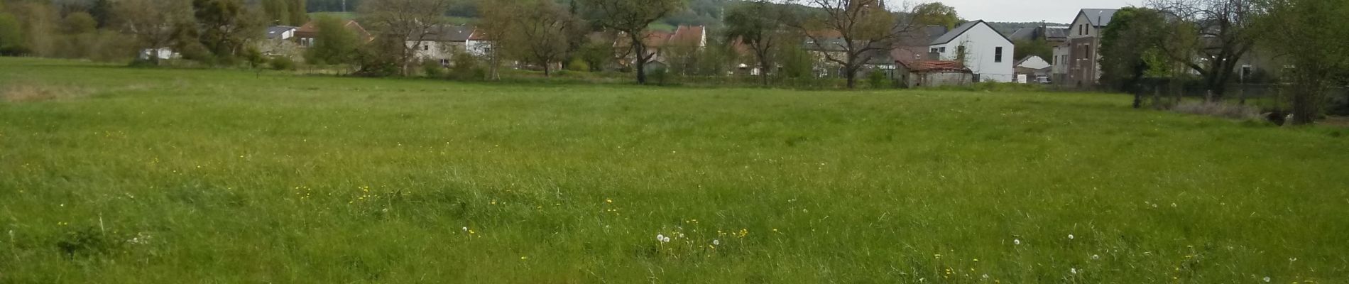 Tour Mountainbike Wirten - A la frontière de Sommethonne I - Balade_VTT_24kms - Photo