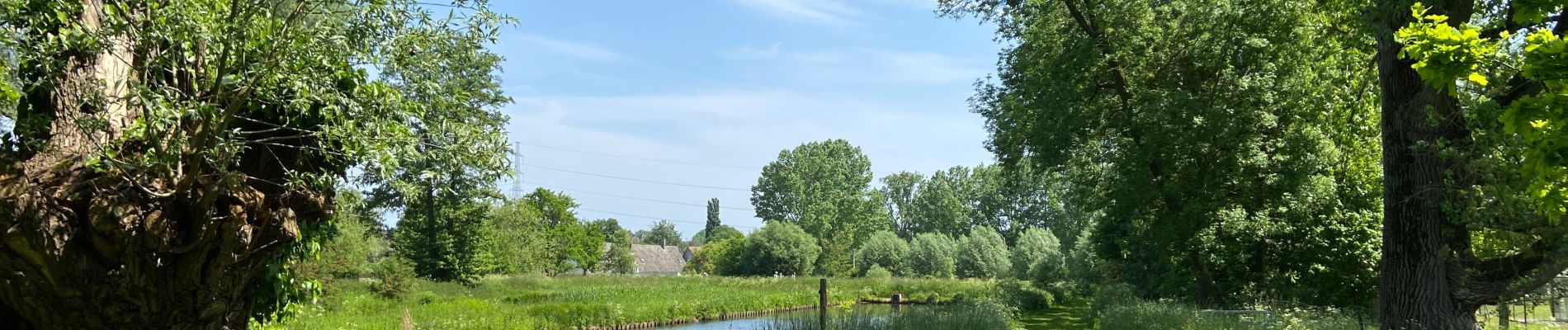 Randonnée Marche Dilbeek - Un petit tour vers le moulin - Photo
