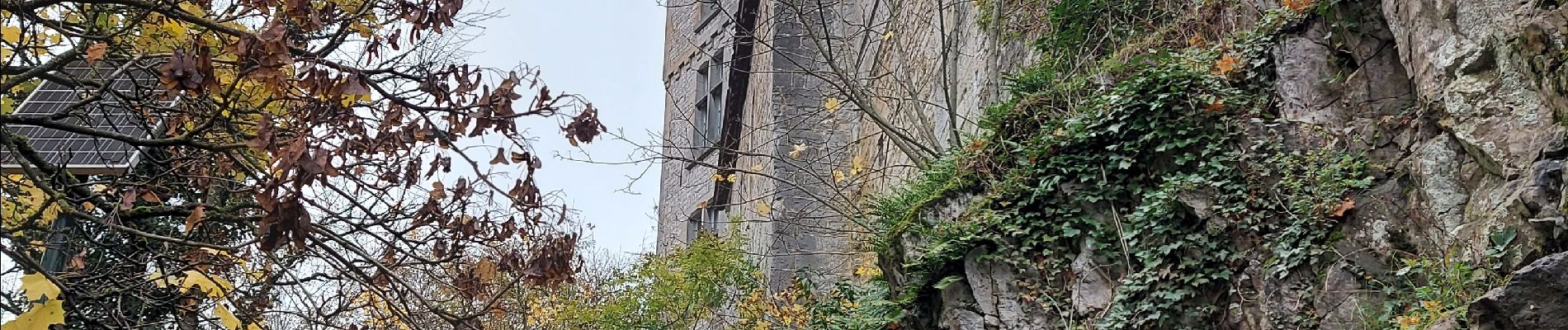 Excursión Senderismo Durbuy - De Durbuy à Palange et retour. - Photo