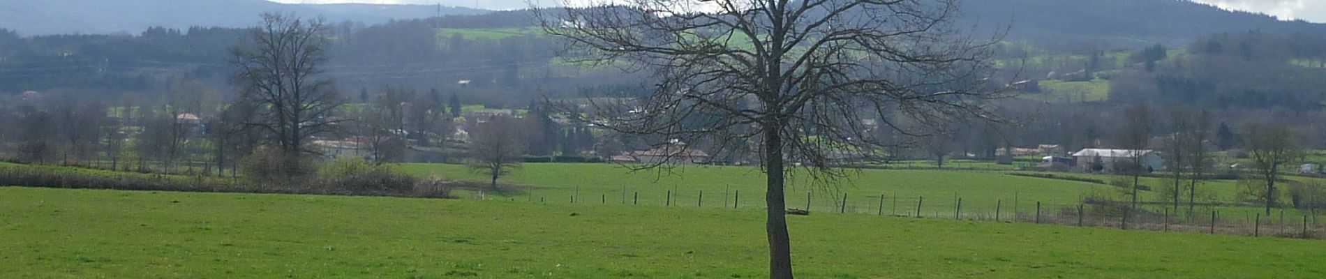 Randonnée Marche La Pacaudière - La Pacaudière: Les Etangs - Photo