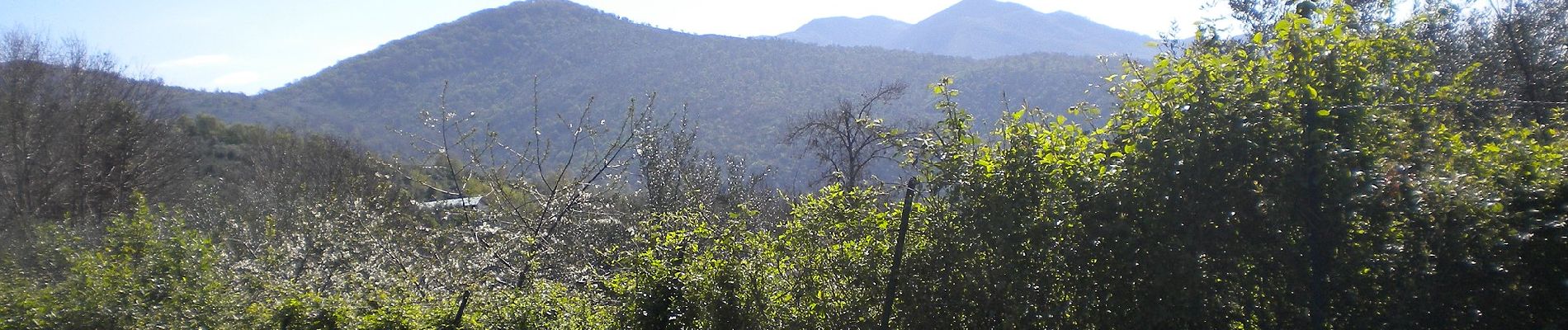 Tocht Te voet Norma - Selva di Cori- Monte Lupone - Photo