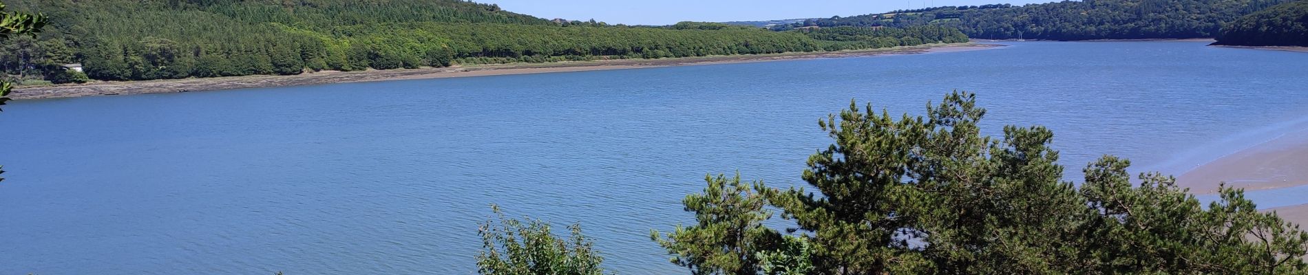 Trail Walking Argol - Moulin neuf-Terenez-le Marros avec Ripley 05-07-2022 - Photo