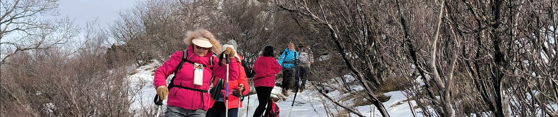 Tocht Stappen Plan-d'Aups-Sainte-Baume - sentiers merveilleux - Photo