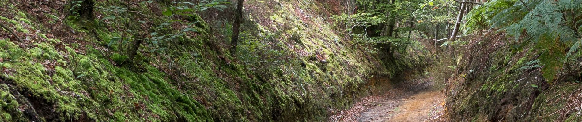 Trail Walking Sablons sur Huisne - Condé-sur-Huisne - Rémalard via La Courroue 12 km - Photo