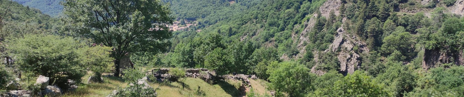 Randonnée Marche Labastide-sur-Bésorgues - Autour de Freyssenet  - Photo