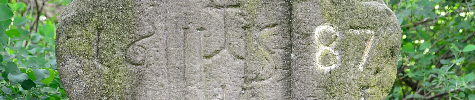 Randonnée A pied Steinheim - Rundwanderweg A6 [Sandebeck] - Photo