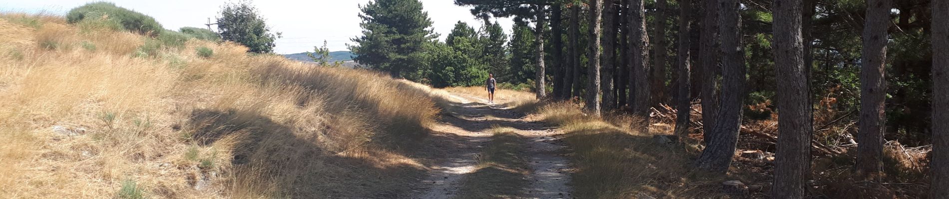 Randonnée Marche Malarce-sur-la-Thines - thines  - Photo