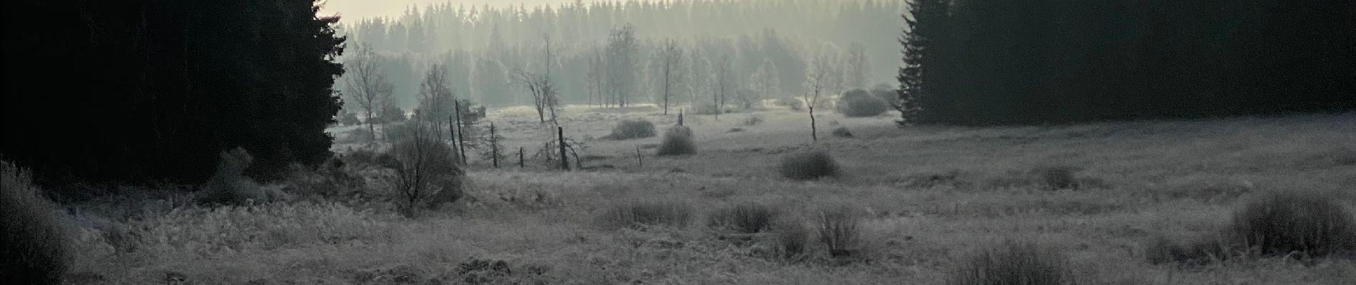 Randonnée Marche Bullange - Vallée de la Schwalm & rocher du Bieley - Photo