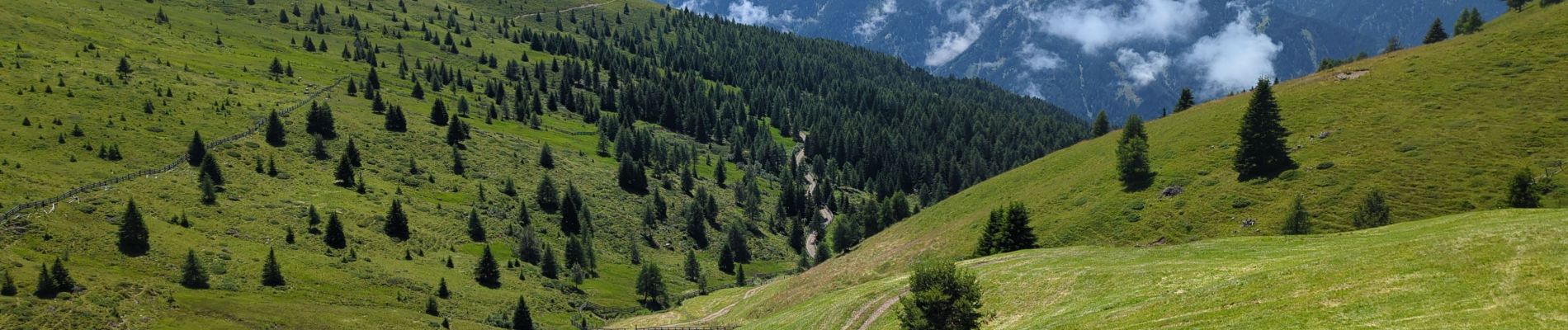 Percorso Marcia Luson - Lüsner Alm - Sommet du Campill - Photo