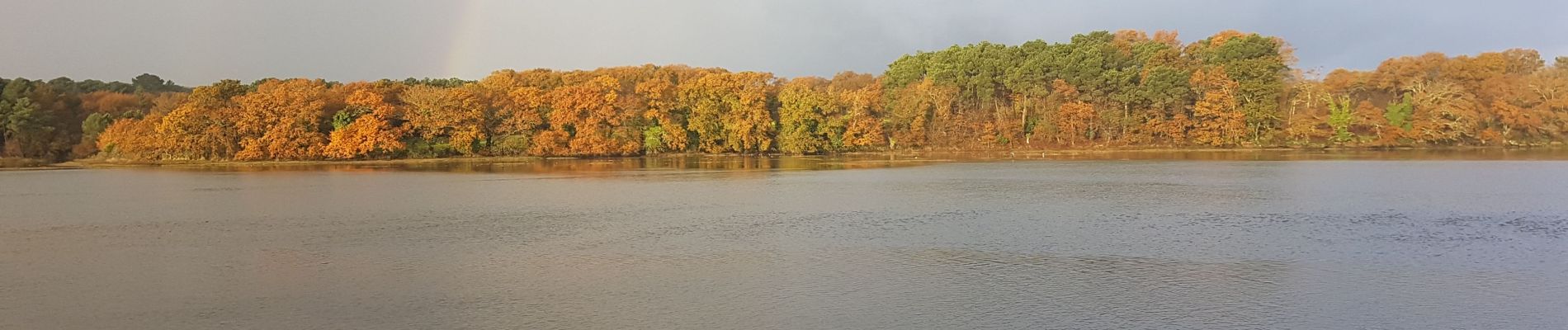 Excursión Senderismo Vannes - CAA28112019 LE VINCIN CONLEAU - Photo