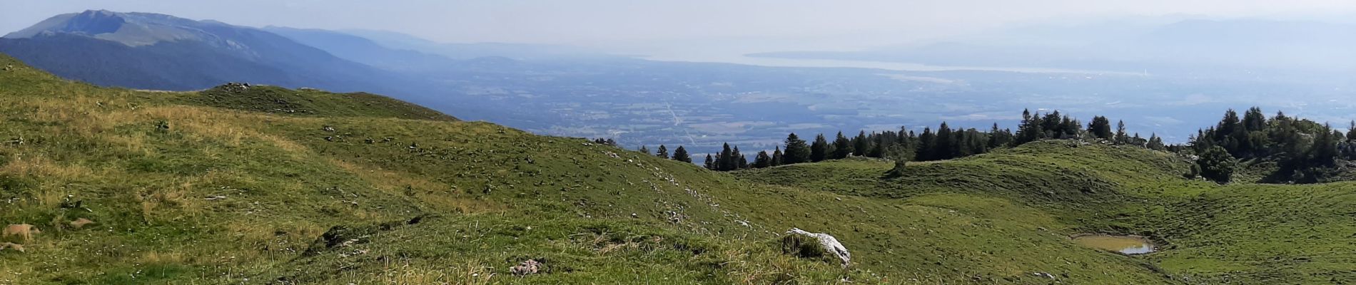 Randonnée Marche Chézery-Forens - Cret de la Goutte 13.5 km D+650 m 20210811 - Photo