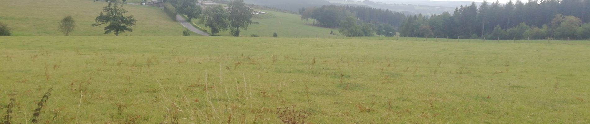 Trail Horseback riding Stavelot - Rando jour 2 Neuville - Waimes - Photo