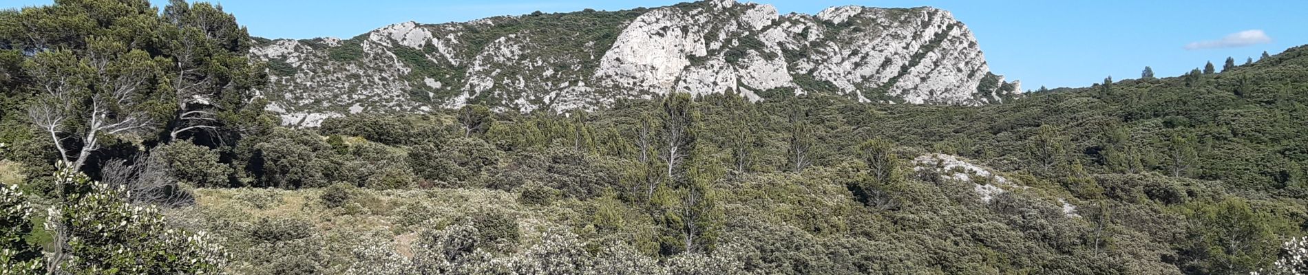 Excursión Senderismo Eygalières - Petit et Gros Calan - Photo