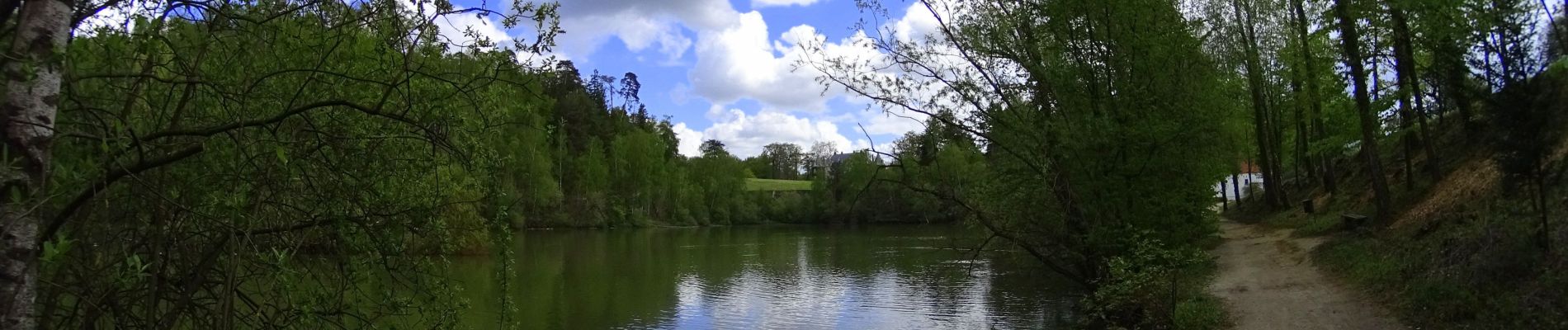 Randonnée V.T.T. La Hulpe - VTT sur la forêt de soignes - Photo