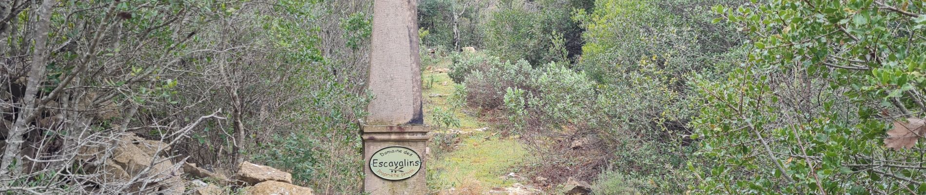 Tour Wandern Belgentier - Belgentier antennes escavalins - Photo