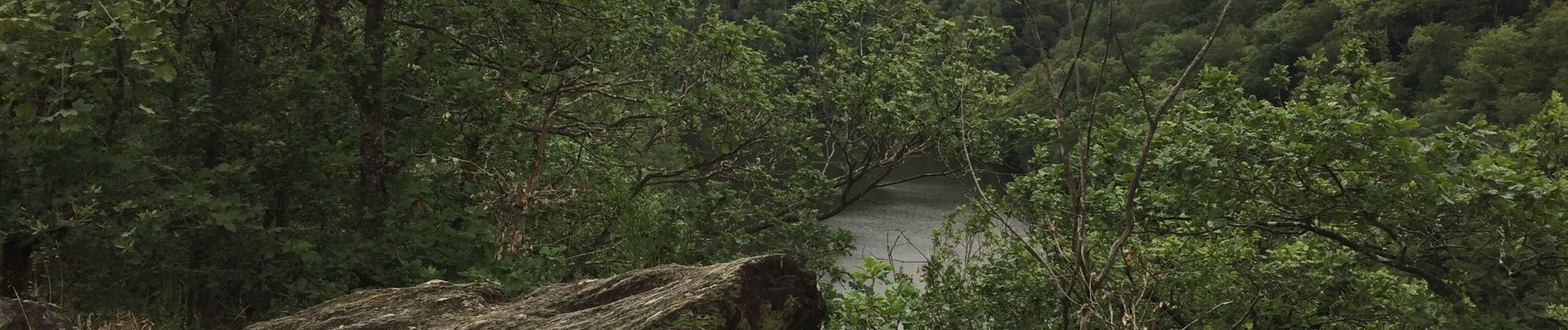 Tocht Stappen Houffalize - Ballade le long de l’eau - Photo