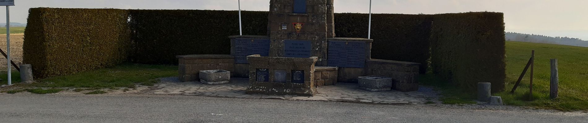 Randonnée Marche Havelange - boffeu plaine sapin - Photo