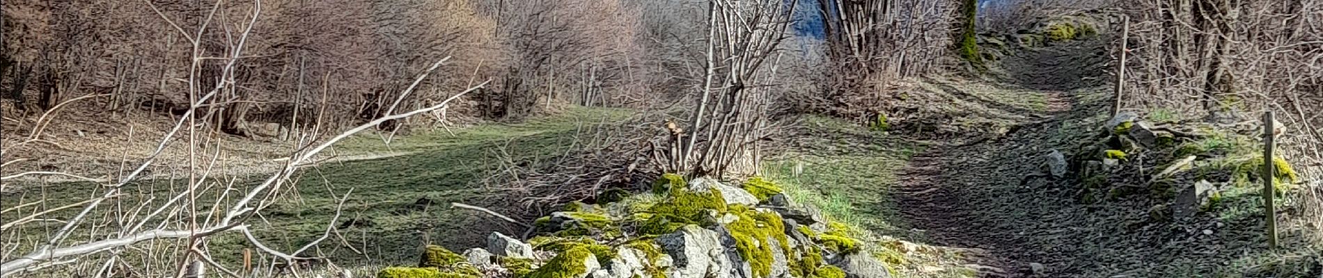 Tocht Stappen Saint-Michel-de-Maurienne - St Michel de Maurienne - Le Pas du Roc - Photo