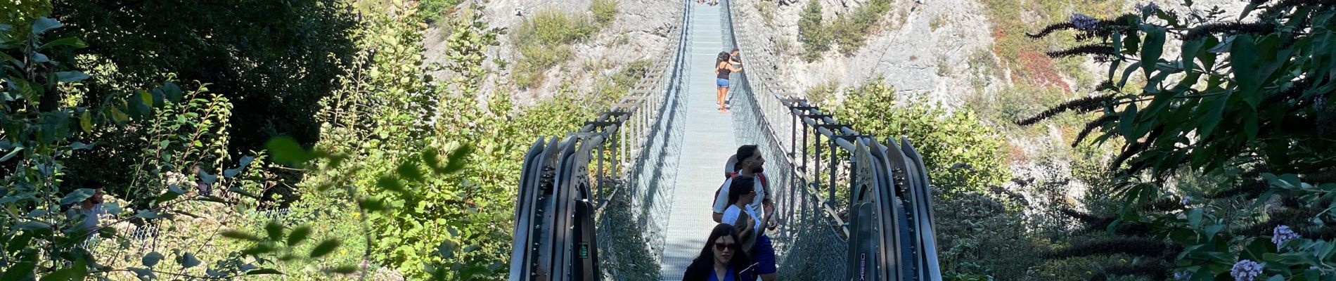 Trail Walking Treffort - Passerelles Monteynard  - Photo