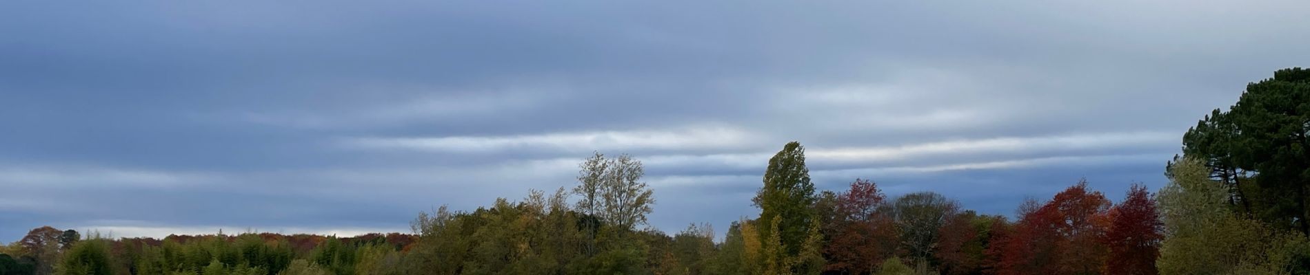 Tour Wandern Canéjan - Le lac vert - canejan  - Photo