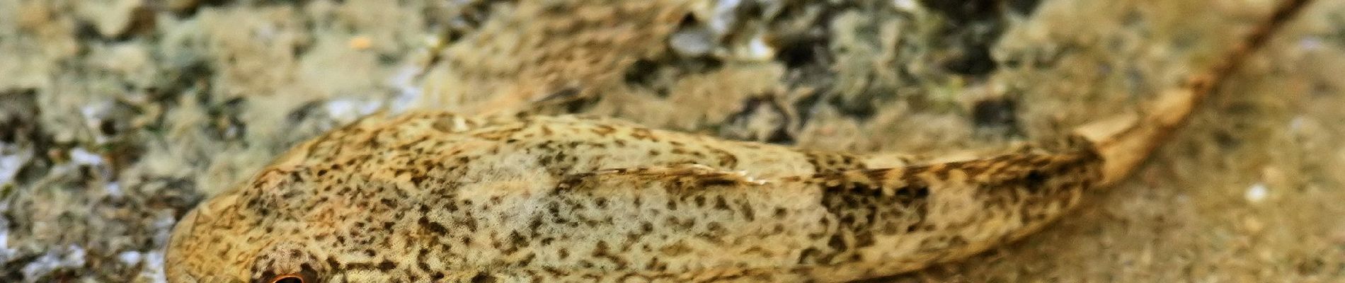 Percorso A piedi Viroinval - Les Abannets - Photo