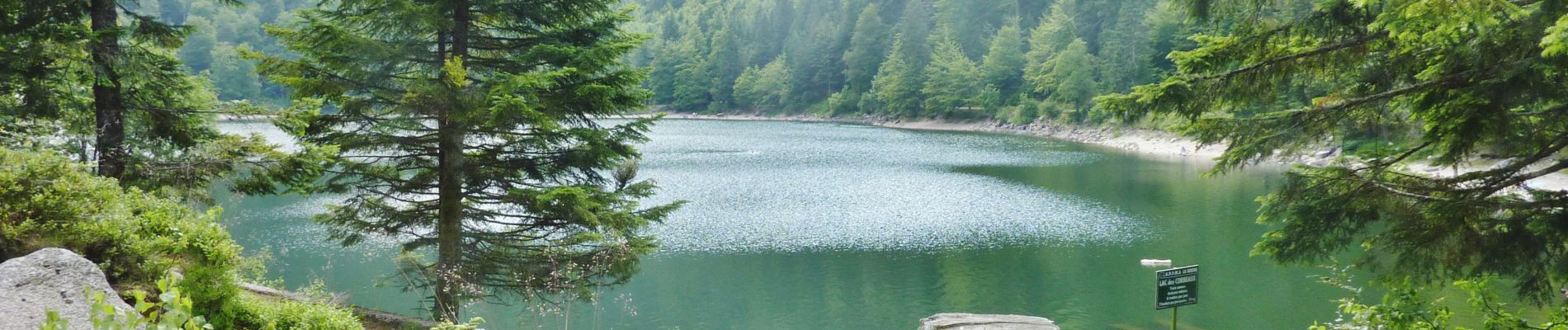 Tour Wandern Woll - SityTrail - Le Lac des Corbeaux - La Bresse - Photo