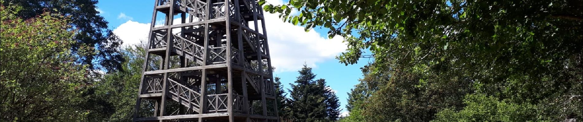 Percorso A piedi Deux-Grosnes - Mont Saint-Rigaud (14 km - D. 447 m) - Photo