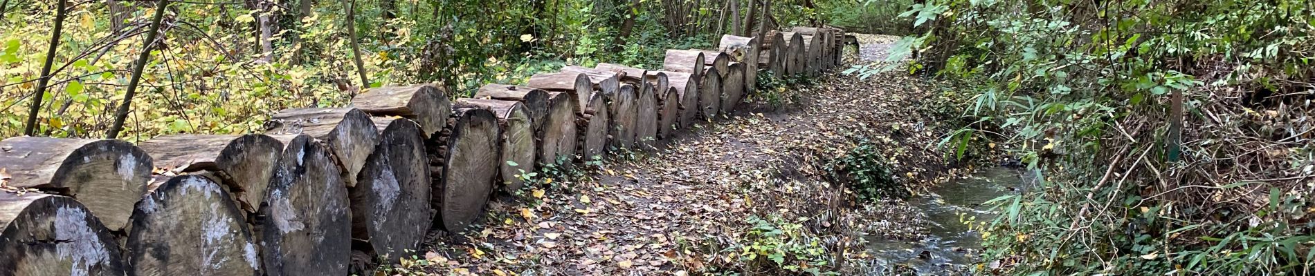 Randonnée Marche Bierbeek - Bierbeek 23 km 2020 - Photo