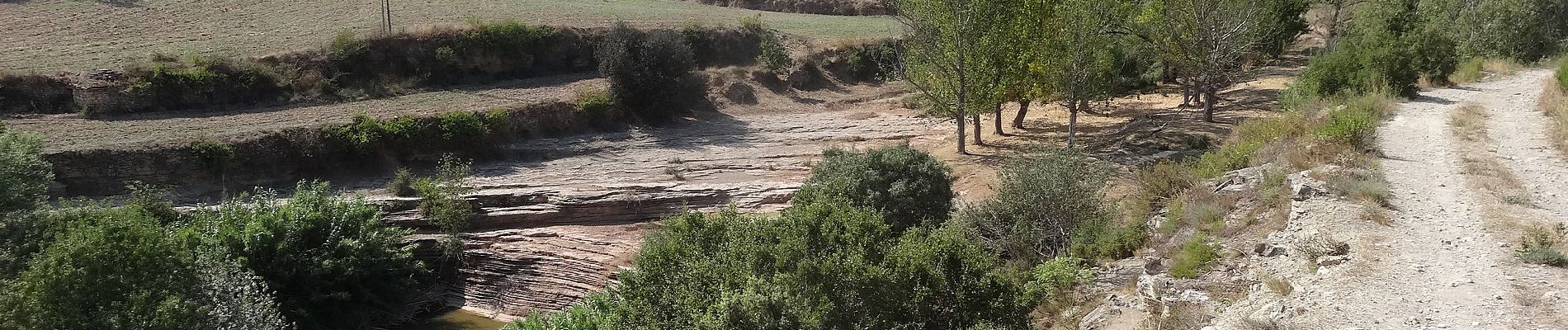 Tocht Te voet Manresa - M3 - Itinerari Els pous de glaç i la riera de Guardiola - Photo