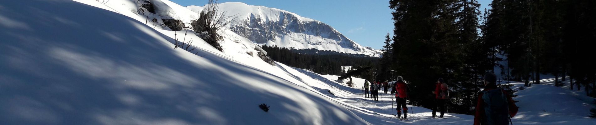 Tocht Ski randonnée Saint-Agnan-en-Vercors - vercors 12 02 20 - Photo