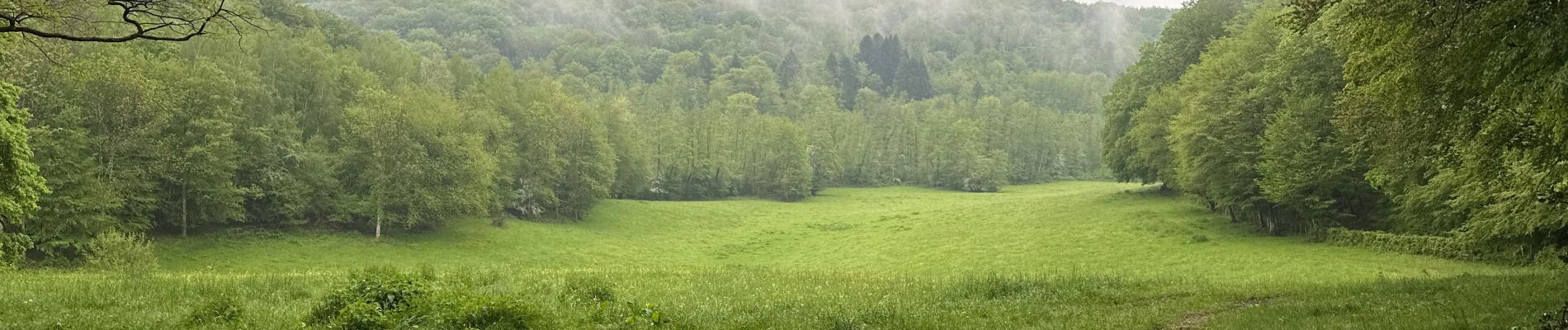 Trail Walking Vallerois-le-Bois - VALLEROIS LE BOIS - LA MAISON DU VAU - VALLEROIS LE BOIS  - Photo