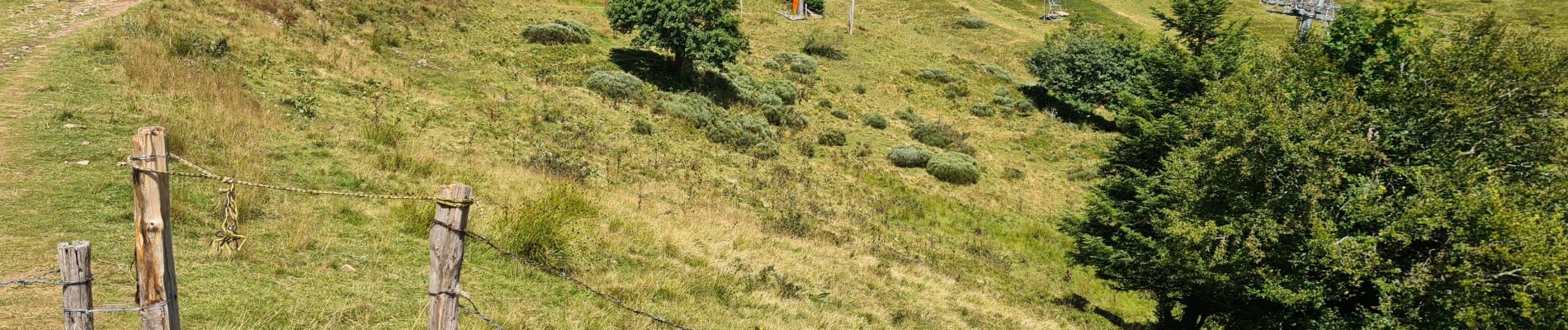 Excursión Senderismo Laveissière - Lioran 2023-08-07 tour du Puy Griou - Photo