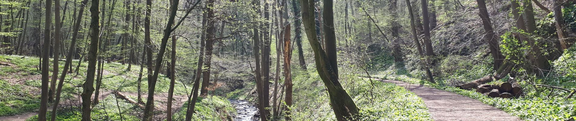 Tocht Stappen Hoei - Ruisseau de Solieres - HUY - Photo