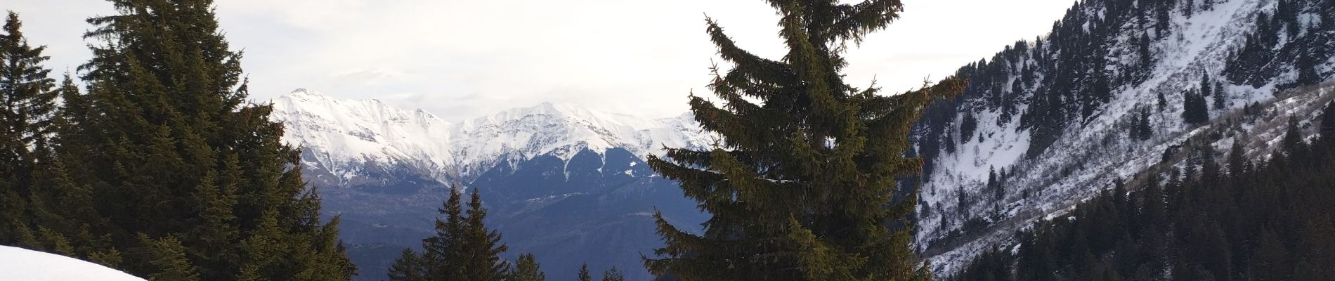 Tocht Ski randonnée Saint-Rémy-de-Maurienne - la grande Moutonnière - Photo