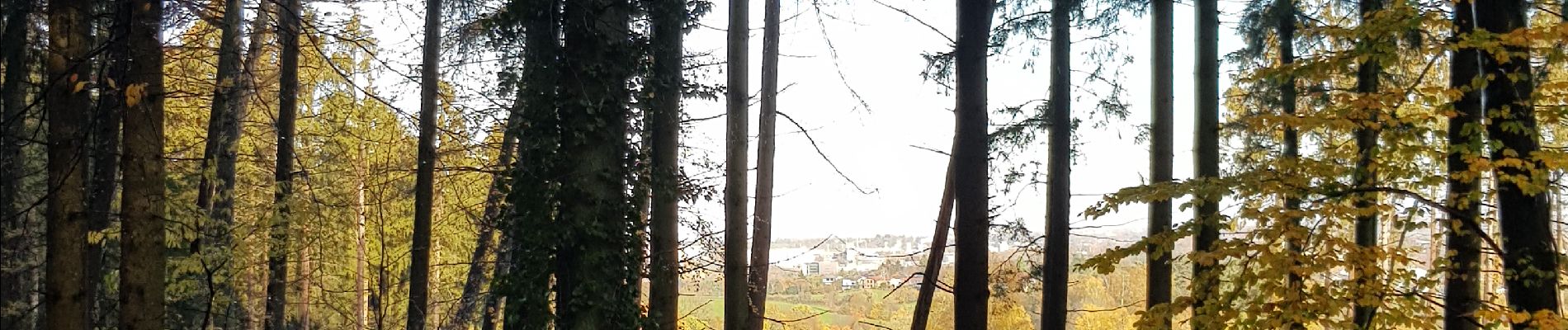 Tocht Stappen Aken - Aix-la-Chapelle (Rando & marché de Noël 🎅🎄) - Photo