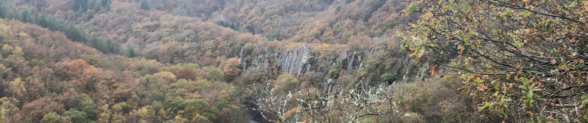 Tour Wandern Hohenfels - FR NADRIN - Photo